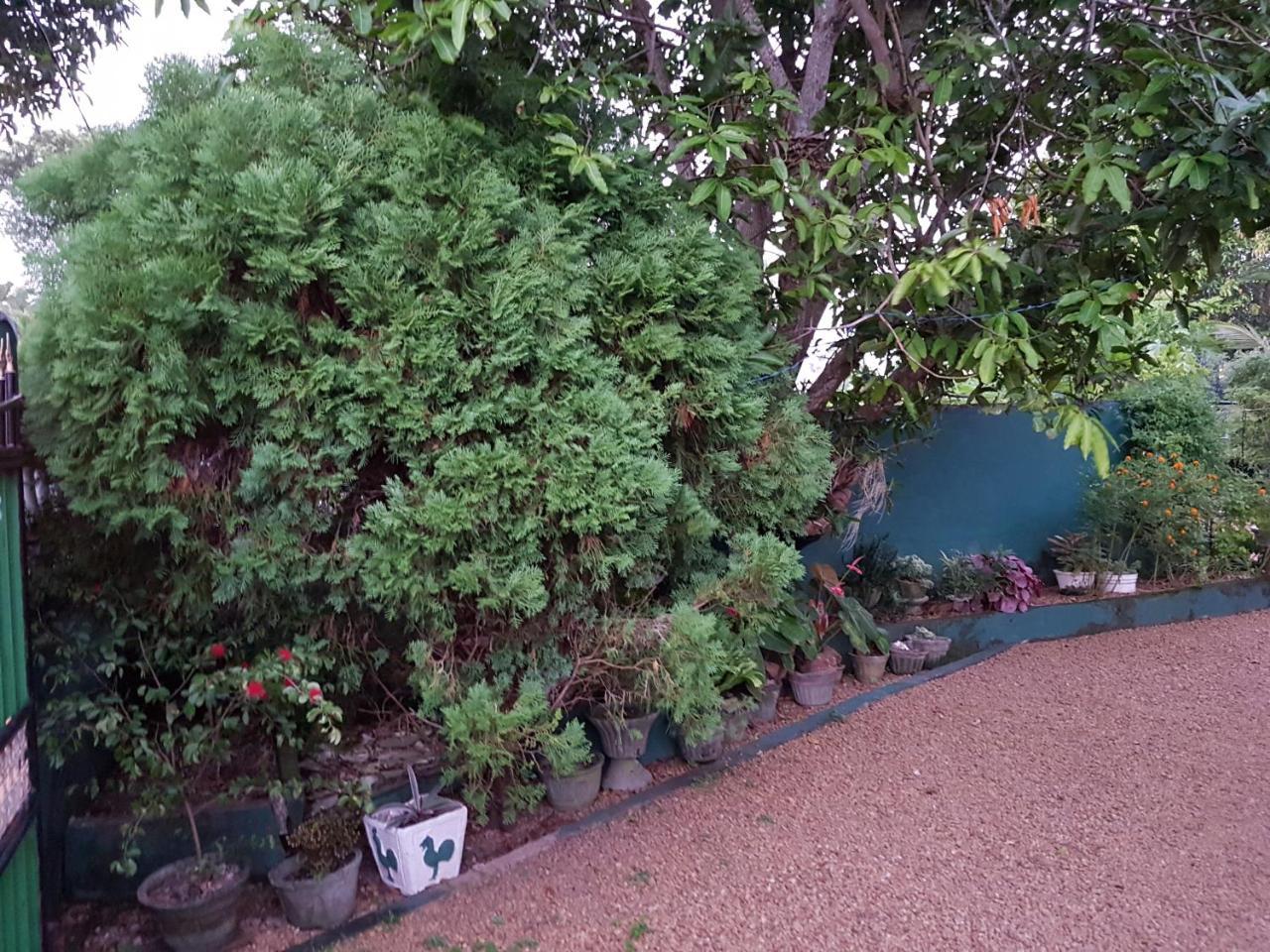 Lotus Villa Bentota Exterior photo